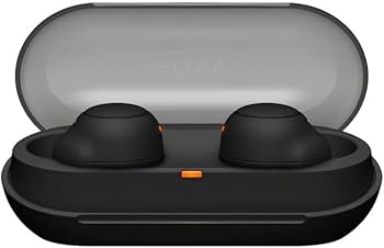 Amazon.com: Sony WF-C500 Truly Wireless in-Ear Bluetooth Earbud